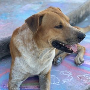 Meet your Posher, Jodi